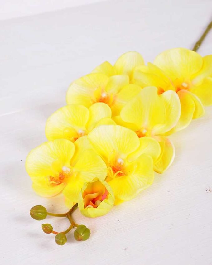 19*102CM Feeling butterfly orchid*9 GS-3130010-Y1