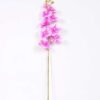 19*102CM Feeling butterfly orchid*9 GS-3130010-Z2