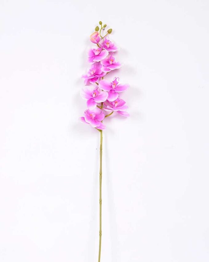 19*102CM Feeling butterfly orchid*9 GS-3130010-Z2