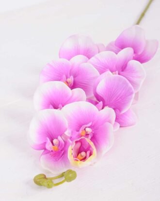 19*102CM Feeling butterfly orchid*9 GS-3130010-Z2