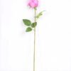 6*55cm Single Rose GS-3150015-P1 1 6*55cm Single Rose GS-3150015-P1