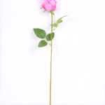 6*55cm Single Rose GS-3150015-P1