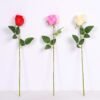 6*55cm Single Rose GS-3150015-P1 3 6*55cm Single Rose GS-3150015-P1