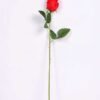 6*55cm Single Rose GS-3150015-R1