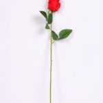 6*55cm Single Rose GS-3150015-R1