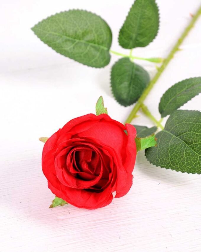 6*55cm Single Rose GS-3150015-R1