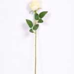 6*55cm Single Rose GS-3150015-W1