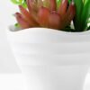 14cm  succulent plant in 1# ceramics pot GS-3180003