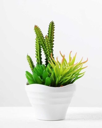 17cm  succulent plant potted GS-3180006