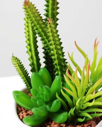 17cm  succulent plant potted GS-3180006