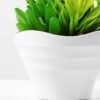 17cm  succulent plant potted GS-3180006