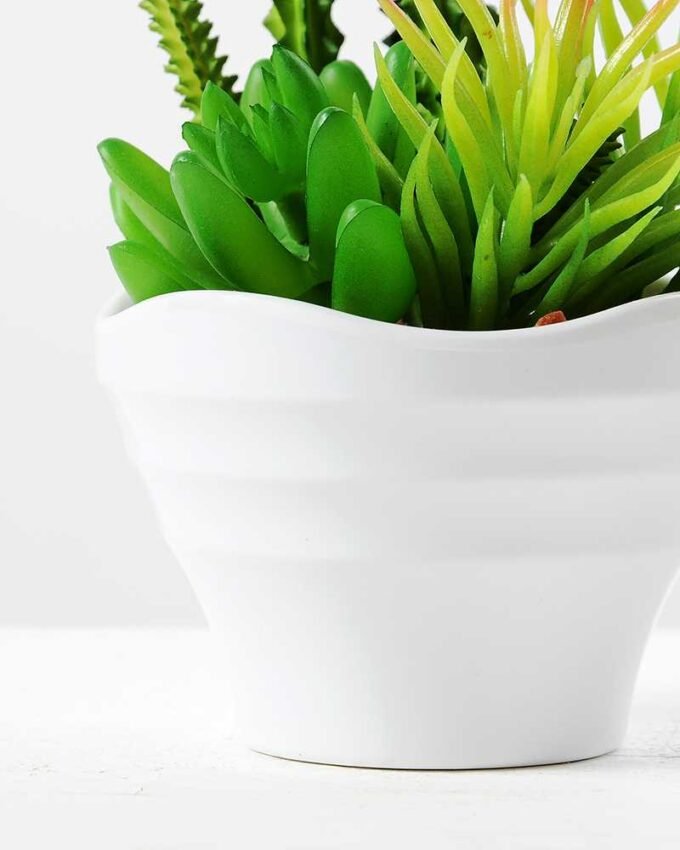 17cm  succulent plant potted GS-3180006