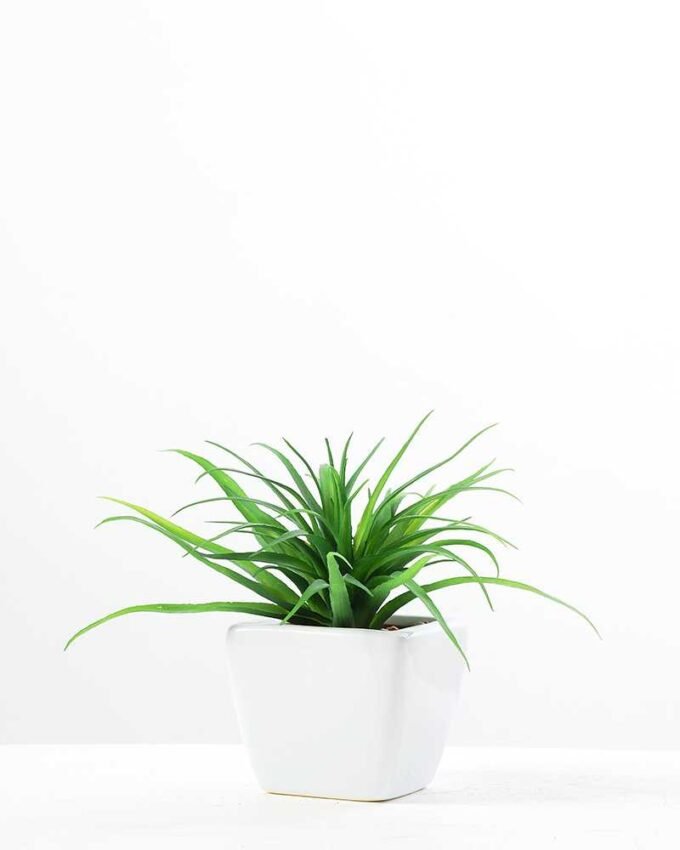 13cm  sword gress in ceramics  pot -L GS-3180008