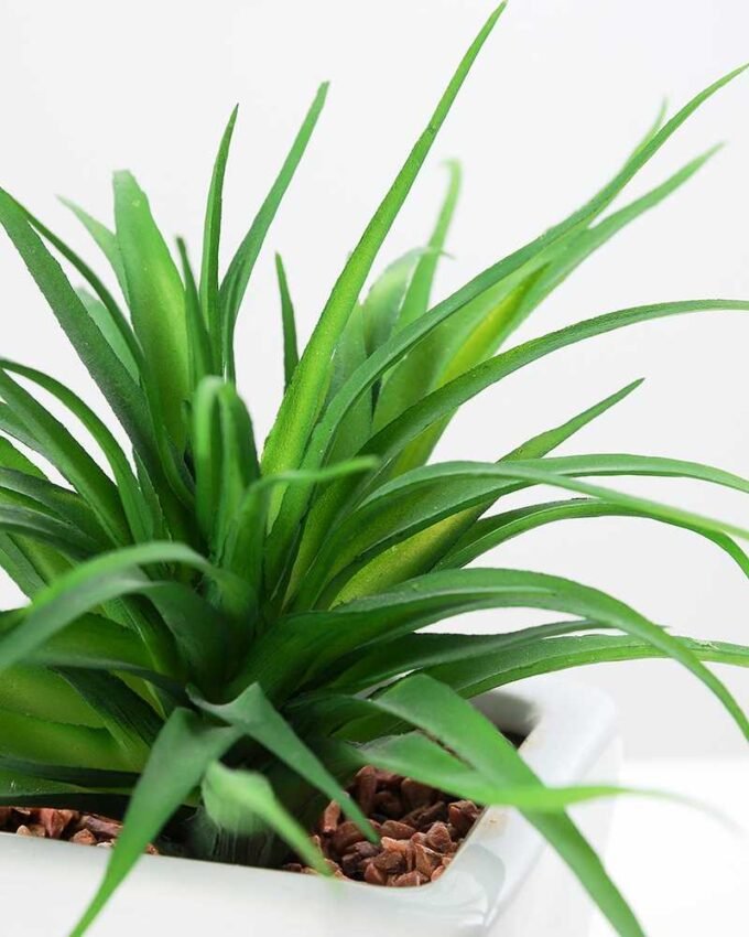 13cm  sword gress in ceramics  pot -L GS-3180008