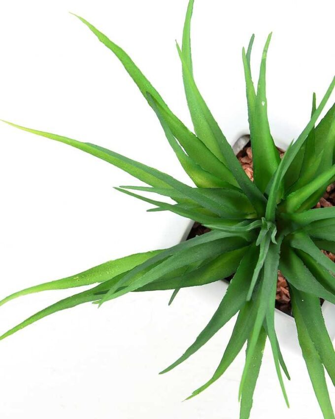 13cm  sword gress in ceramics  pot -L GS-3180008