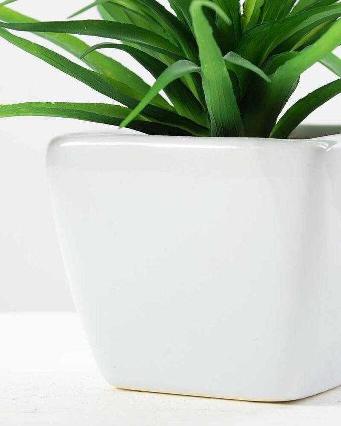 13cm  sword gress in ceramics  pot -L GS-3180008