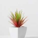 17cm  sword leaf in 1# ceramics pot-S GS-3180010