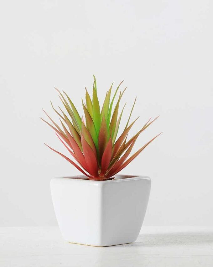 17cm  sword leaf in 1# ceramics pot-S GS-3180010