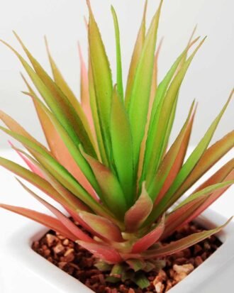 17cm sword leaf in 1# ceramics pot-S GS-3180010 Succulent YeahFlower is one of Chinese leading OEM manufacturers and exporters , supplying the silk flowers, wholesale artificial trees 17cm sword leaf in 1# ceramics pot-S GS-3180010