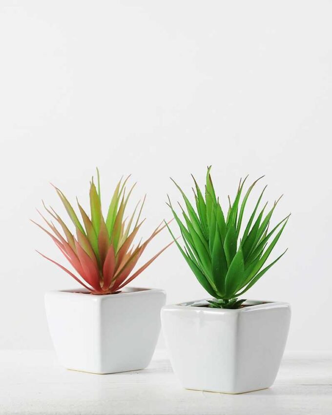 17cm  sword leaf in 1# ceramics pot-S GS-3180010