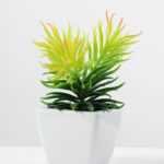 17cm   Pine Needle in  1# ceramics pot GS-3180011