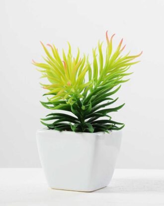 17cm   Pine Needle in  1# ceramics pot GS-3180011