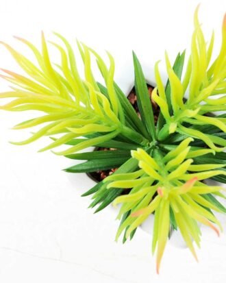 17cm   Pine Needle in  1# ceramics pot GS-3180011