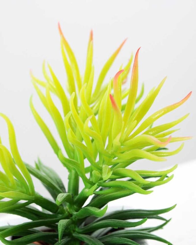 17cm   Pine Needle in  1# ceramics pot GS-3180011