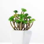 16cm   Pine Needle in  1# ceramics pot GS-3180012