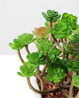 16cm   Pine Needle in  1# ceramics pot GS-3180012