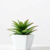 12cm  pineapple leaf  in 1# ceramics pot-L GS-3180013
