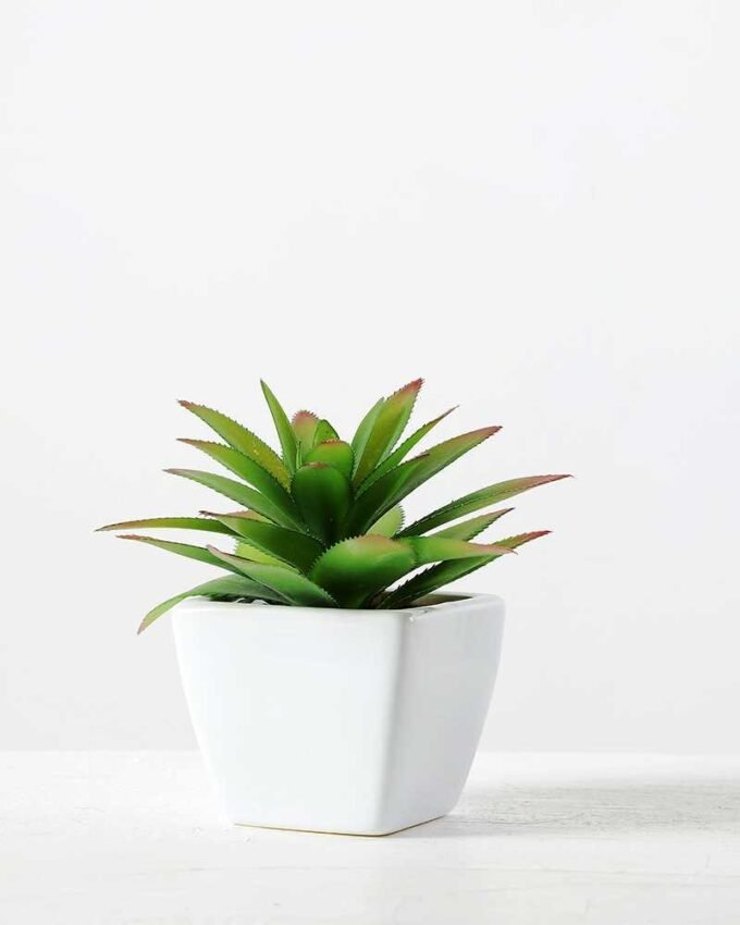 12cm  pineapple leaf  in 1# ceramics pot-L GS-3180013