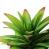 12cm  pineapple leaf  in 1# ceramics pot-L GS-3180013