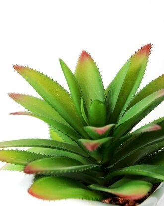 12cm pineapple leaf in 1# ceramics pot-L GS-3180013 Succulent YeahFlower is one of Chinese leading OEM manufacturers and exporters , supplying the silk flowers, wholesale artificial trees 12cm pineapple leaf in 1# ceramics pot-L GS-3180013