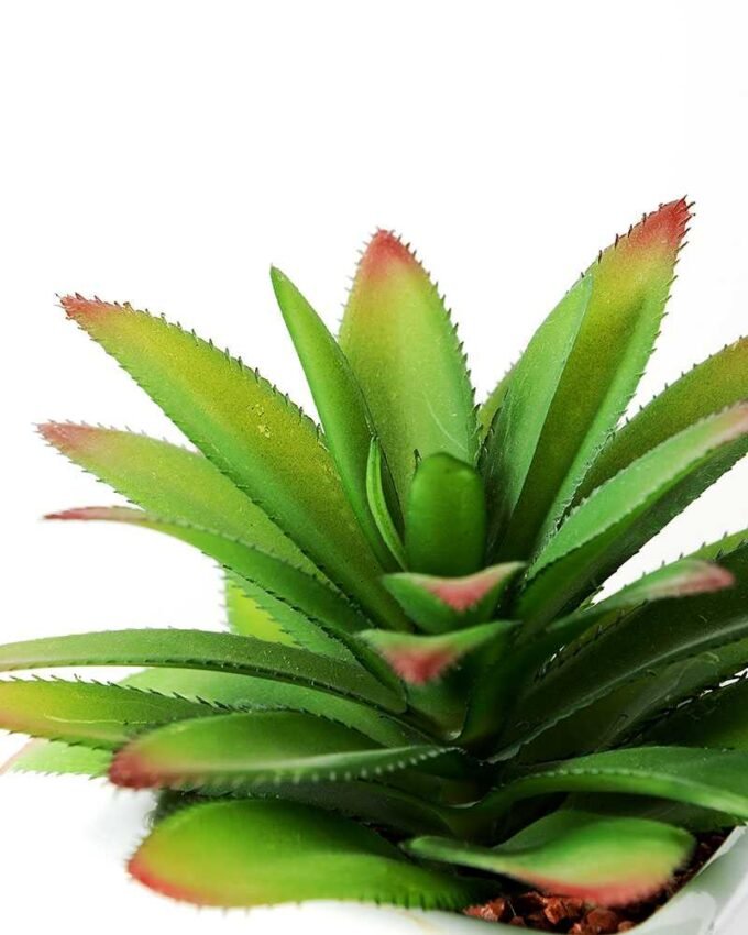 12cm  pineapple leaf  in 1# ceramics pot-L GS-3180013