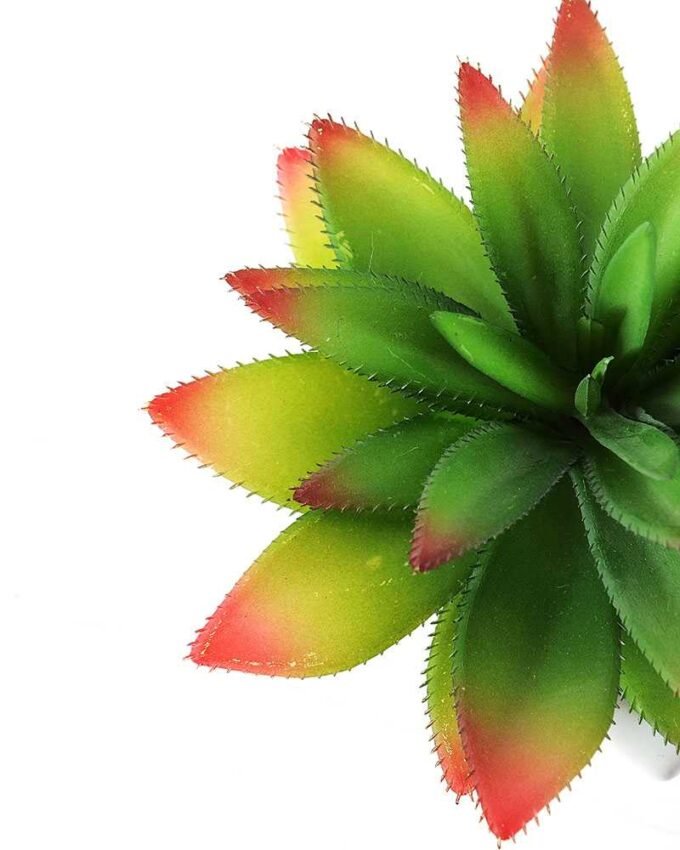 12cm  pineapple leaf  in 1# ceramics pot-L GS-3180013