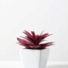 12cm  pineapple leaf  in 1# ceramics pot-L GS-3180013