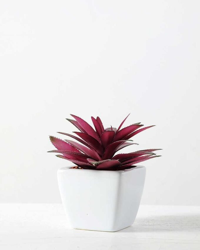 12cm  pineapple leaf  in 1# ceramics pot-L GS-3180013