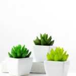10cm   encrinite in 1# ceramics pot GS-3180014