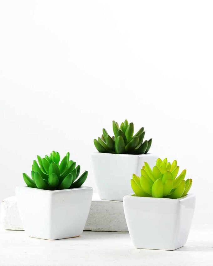 10cm   encrinite in 1# ceramics pot GS-3180014