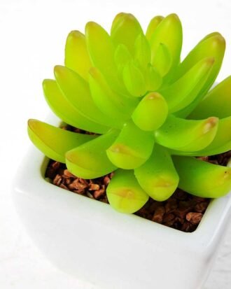 10cm encrinite in 1# ceramics pot GS-3180014 Succulent YeahFlower is one of Chinese leading OEM manufacturers and exporters , supplying the silk flowers, wholesale artificial trees 10cm encrinite in 1# ceramics pot GS-3180014