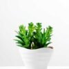 13cm  succulent plant potted GS-3180016