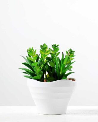13cm succulent plant potted GS-3180016 Succulent YeahFlower is one of Chinese leading OEM manufacturers and exporters , supplying the silk flowers, wholesale artificial trees 13cm succulent plant potted GS-3180016