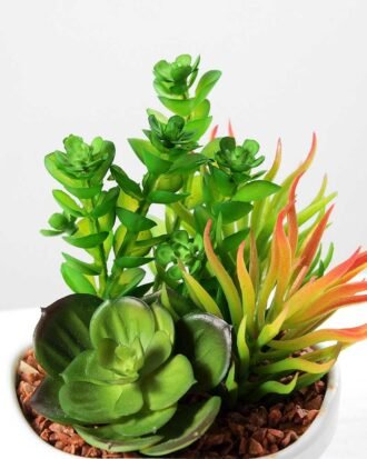 13cm  succulent plant potted GS-3180017