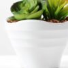 13cm succulent plant potted GS-3180017 3 13cm succulent plant potted GS-3180017