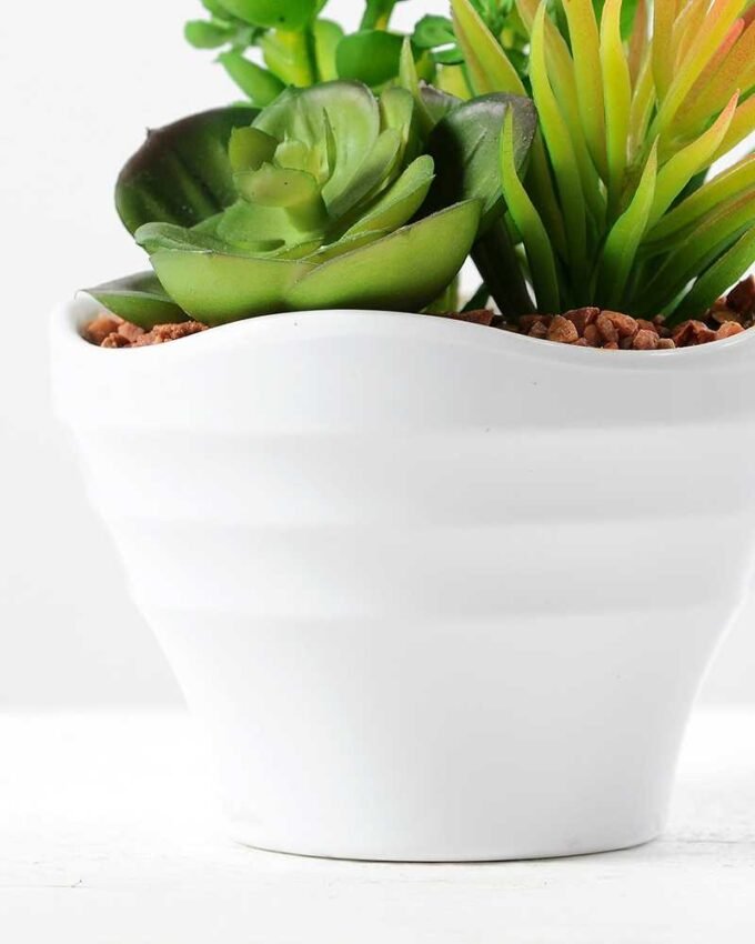 13cm succulent plant potted GS-3180017 3 13cm succulent plant potted GS-3180017