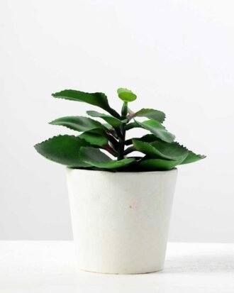 apple leaf in 21# ceramics pot GS-3180036 Succulent YeahFlower is one of Chinese leading OEM manufacturers and exporters , supplying the silk flowers, wholesale artificial trees apple leaf in 21# ceramics pot GS-3180036