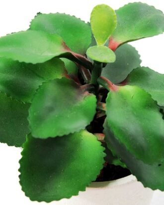 apple leaf in 21# ceramics pot GS-3180036 Succulent YeahFlower is one of Chinese leading OEM manufacturers and exporters , supplying the silk flowers, wholesale artificial trees apple leaf in 21# ceramics pot GS-3180036