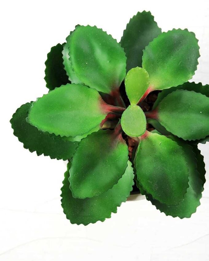 apple leaf in 21# ceramics  pot GS-3180036