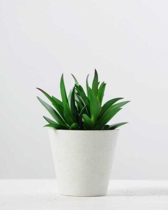 11CM plantlet potted*3 GS-3180038 Succulent YeahFlower is one of Chinese leading OEM manufacturers and exporters , supplying the silk flowers, wholesale artificial trees 11CM plantlet potted*3 GS-3180038